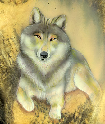 Gray Wolf