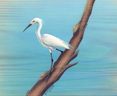 White Heron
